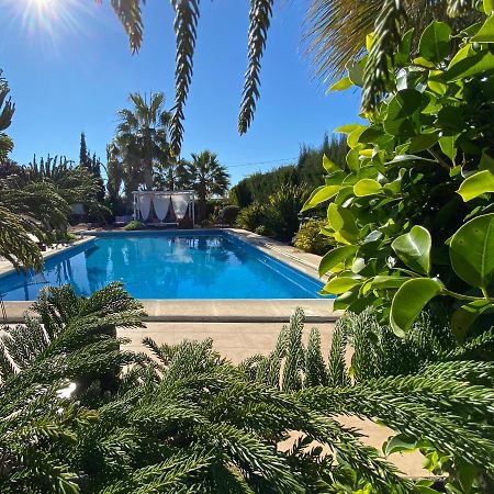 فيلا Vacaciones La Marina Costa Blanca المظهر الخارجي الصورة